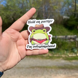 Hold on partner I’m overstimulated sticker, neurodivergent sticker, mental health gift for friends, water bottle sticker, country toad