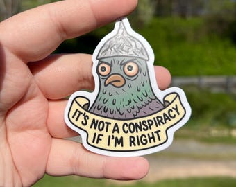 It’s not a conspiracy if I’m right sticker, pigeon conspiracy art, conspiracy sticker for water bottle, conspiracy theorist gift for friends
