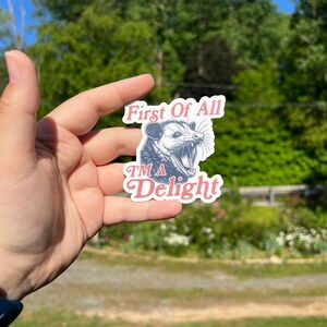 Pu&ograve; includere: Un adesivo bianco con un'illustrazione in bianco e nero di un opossum con la bocca aperta. Il testo "First of All" &egrave; in rosa sopra l'opossum e il testo "I'm a Delight" &egrave; in rosa sotto l'opossum.