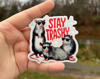 Stay trashy possum sticker, Funny sticker, water bottle sticker, mental health sticker, possum lover gift, holographic sticker