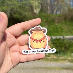 I’m at my freaking limit sticker, neurodivergent sticker for water bottle, mental health gift for friends, anxiety sticker, country sticker