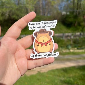 How am I supposed to be rootin tootin in these conditions sticker, neurodivergent sticker, mental health gift for friends, anxiety sticker