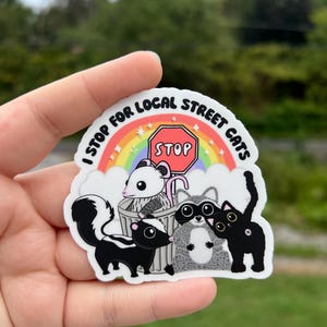 I stop for local street cats raccoon sticker, possum sticker, trash panda, skunk sticker, water bottle sticker, animal lover gift