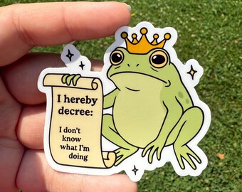 I don’t know what I’m doing silly frog sticker, Funny sticker, water bottle sticker, mental health sticker, frog lover gift, laptop sticker