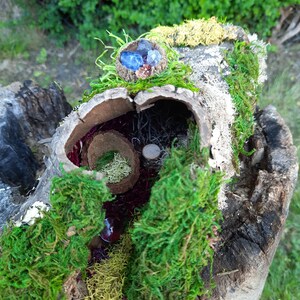 May include: A miniature fairy house made from a tree trunk with moss, twigs, and colorful glass gems. The house has a small opening and a nest-like area with a brown, round object inside.