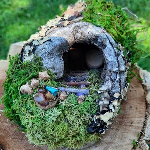 Peut inclure: Une maison miniature de fée faite d'un rondin creux, décorée de mousse, de brindilles et de petites pierres. La maison a une petite ouverture qui mène à un minuscule intérieur.