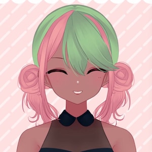 Premade Customizable Half Body Live2D VTuber Model