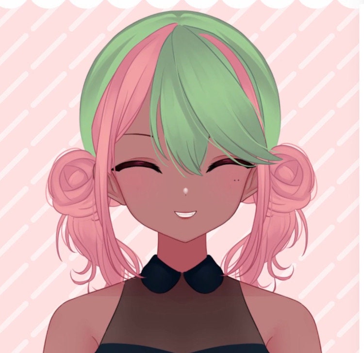 Premade Customizable Half Body Live2D VTuber Model