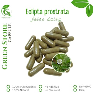 100-500 CAPSULES Eclipta Prostrata Vals madeliefje @600 mg verse natuurlijke kruiden Indonesisch kruid biologisch wild gratis verzending