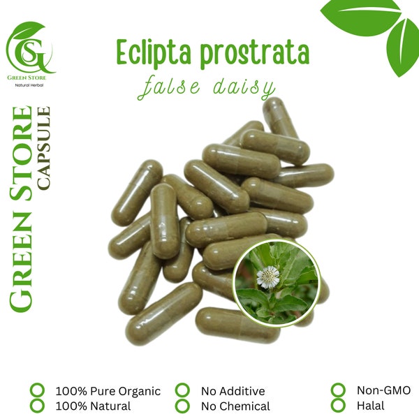 100-500 CAPSULES Eclipta Prostrata Fausse marguerite @ 600 mg Herbes naturelles fraîches épices Herbe indonésienne biologique WildCrafted Livraison gratuite