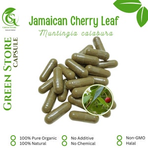 100-500 CAPSULES Muntingia calabura Kersen Cherry jamaican @600mg Fresh Natural Herbs spices Indonesian herb Organic WildCrafted free Ship