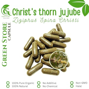 100-800 CAPSULES Ziziphus Spina Christi Bidara Arab @600mg Fresh Natural Herbs spices Indonesian herb Organic WildCrafted Free Ship