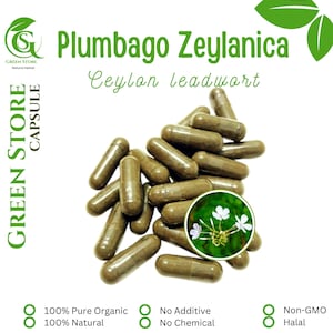 100-500 CAPSULES Ceylon leadwort Plumbago Zeylanica @600mg Fresh Natural Herbs spices Indonesian herb Organic WildCrafted