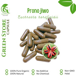 100-500 CAPSULES Euchresta Horsfieldii Pronojiwo @600mg Fresh Natural Herbs spices Indonesian herb Organic WildCrafted Free Shipping