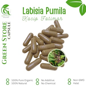 100-500 CAPSULES Labisia Pumila Kacip Fatimah Female Tongkat Ali @600mg Fresh Natural Herbs spices Indonesian herb Organic WildCrafted