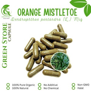 100-800 CAPSULES Dendrophthoe pentandra L. Orange Mistletoe @600mg Fresh Natural Herbs spices Indonesian herb Organic WildCrafted Free Ship