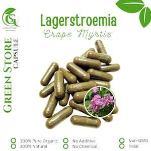 100-800 CAPSULES Crape Myrtle Lagerstroemia @600mg Fresh Natural Herbs spices Indonesian herb Organic WildCrafted Free Ship