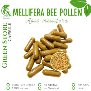 100-800 CAPSULES Mellifera Bee Pollen Apis mellifera @600mg Fresh Natural Herbs spices Indonesian herb Organic