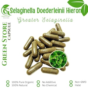 100-800 CAPSULES Greater Selaginella Selaginella Doederleinii Hieron @600mg Fresh Natural Herbs spices Indonesian herb Organic WildCrafted