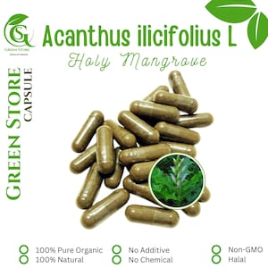 100-800 CAPSULES Holy Mangrove Acanthus ilicifolius L @600mg Fresh Natural Herbs spices Indonesian herb Organic WildCrafted