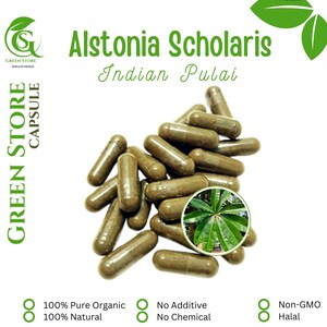 100-500 CAPSULES Indian Pulai Alstonia Scholaris @600mg Fresh Natural Herbs spices Indonesian herb Organic WildCrafted