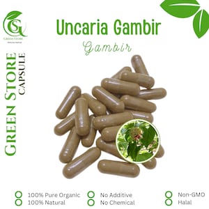 100-500 CAPSULES Uncaria gambir The gambier or Gambir @600mg Fresh Natural Herbs spices Indonesian herb Organic WildCrafted Free Shipping