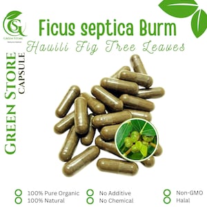 100-500 CAPSULES Hauili Fig Tree Leaves Ficus Septica Burm @600mg Fresh Natural Herbs spices Indonesian herb Organic WildCrafted