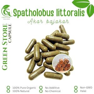 100-500 CAPSULES @600mg Spatholobus Littoralis Bajakah Root Natural Herbs spices Indonesian herb Orga