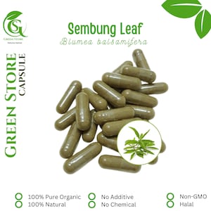 100-500 CAPSULES Blumea balsamifera Sambong Sembung Leaf @600mg Fresh Natural Herbs spices Indonesian herb Organic WildCrafted Free Shipping