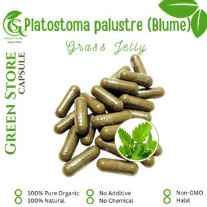 100-500 CAPSULES Grass Jelly Platostoma palustre (Blume) @600mg Fresh Natural Herbs spices Indonesian herb Organic WildCrafted