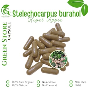100-500 CAPSULES Stelechocarpus Burahol Kepel Apple @600mg Fresh Natural Herbs spices Indonesian herb Organic WildCrafted