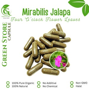 100-800 CAPSULES Mirabilis Jalapa Four O&#39;clock Flower Leaves @600mg Fresh Natural Herbs spices Indonesian herb Organic WildCrafted Free Ship