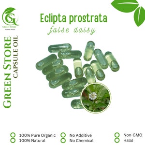 100-500 CAPSULES OIL Eclipta Prostrata False daisy @0.6ml For Hair Fresh Natural Herbs spices Indonesian herb Organic WildCrafted