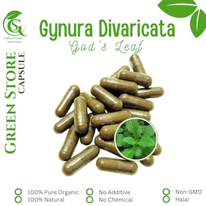 100-500 CAPSULES God&#39;s Leaf Gynura Divaricata @600mg Fresh Natural Herbs spices Indonesian herb Organic WildCrafted