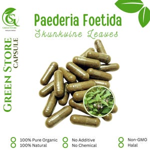 100-500 CAPSULES Skunkvine Leaves Paederia Foetida @600mg Fresh Natural Herbs spices Indonesian herb Organic WildCrafted