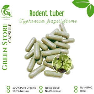 100-500 CAPSULES Typhonium Flagelliforme Rodent Tuber @600mg Fresh Natural Herbs spices Indonesian herb Organic WildCrafted free Shipping