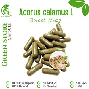 100-500 CAPSULES @600mg Acorus Calamus L Sweet Flag Muskrat Root Natural Herbs spices Indonesian herb Organic