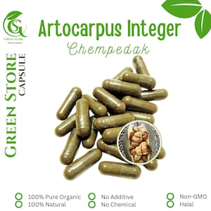 100-800 CAPSULES Chempedak Artocarpus Integer @600mg Fresh Natural Herbs spices Indonesian herb Organic WildCrafted Free Ship