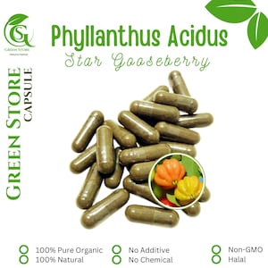 100-500 CAPSULES Star Gooseberry Phyllanthus Acidus @600mg Fresh Natural Herbs spices Indonesian herb Organic WildCrafted