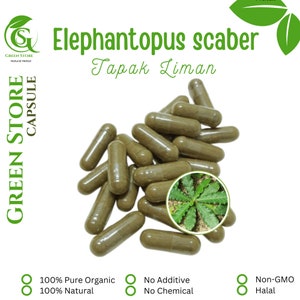 100-500 CAPSULES Elephantopus Scaber Ironweed Tapak Liman @600mg Fresh Natural Herbs spices Indonesian herb Organic WildCrafted