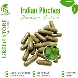 100-800 CAPSULES Pluchea Indica Beluntas Indian Pluchea @600mg Fresh Natural Herbs spices Indonesian herb Organic WildCrafted free Shipping