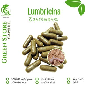 100-800 CAPSULES Earthworm Lumbricina @600mg Fresh Natural Herbs spices Indonesian herb Organic WildCrafted Free Ship