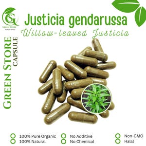 100-800 CAPSULES Justicia gendarussa, Willow-leaved Justicia Gandarusa @600mg Fresh Natural Herbs spices Indonesian herb Organic WildCrafted