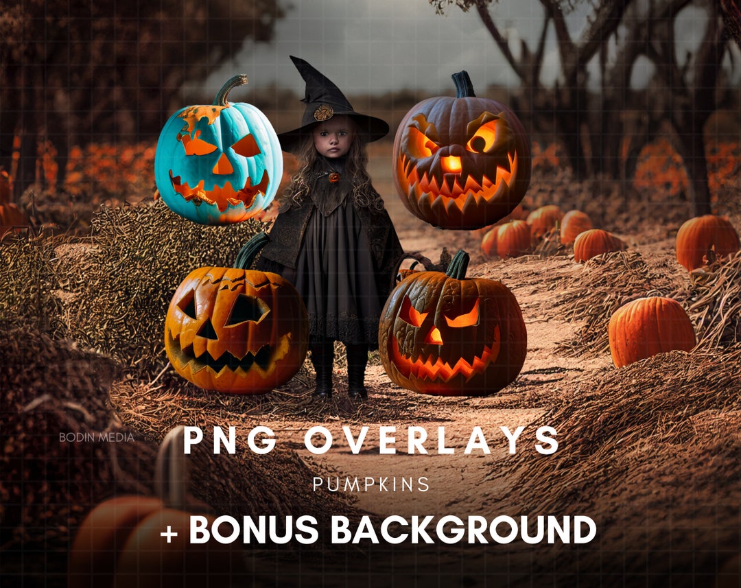 Pumpkin Overlays Bonus Pumpkin Patch Background Etsy