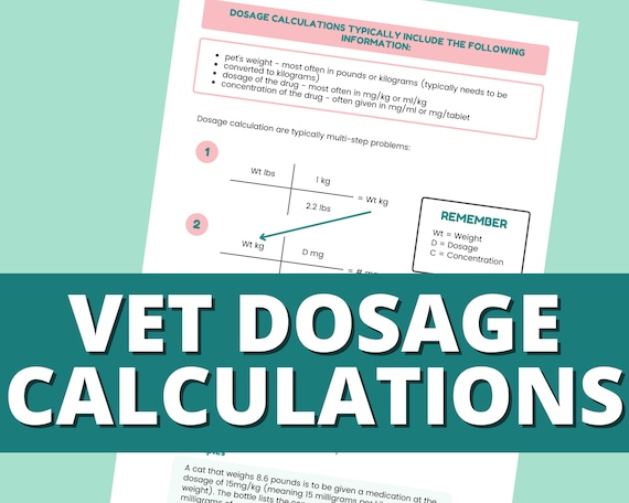 Veterinary Dosage Calculations Animal Doctor Study Notes - Etsy