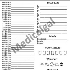 Daily Planner for Busy Individuals