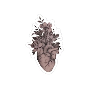 Die-Cut, 1pcs - Anatomical Heart