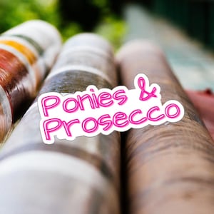 Ponies and Prosecco Sticker, Horse Show Mom, Equestrian Wine, Prosecco Lover Gift, Funny Horse Sticker, Cute Pony Sticker, Funny Pony