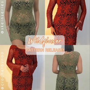 Wildflower Crochet Top/Dress Written Pattern image 10