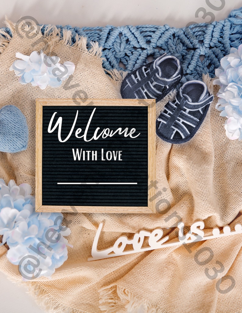 Round Baby Announcement Sign Svg, Baby Announcement Svg, Baby Photo